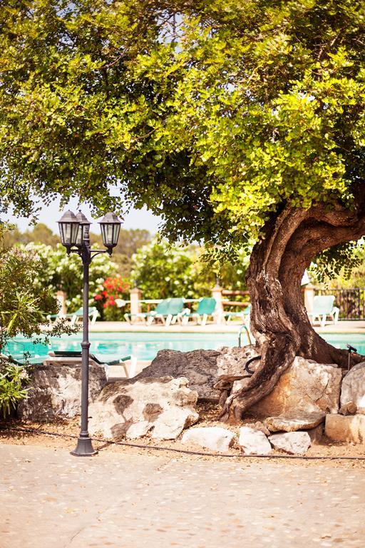 Agroturismo Can Patro Konuk evi Manacor  Dış mekan fotoğraf