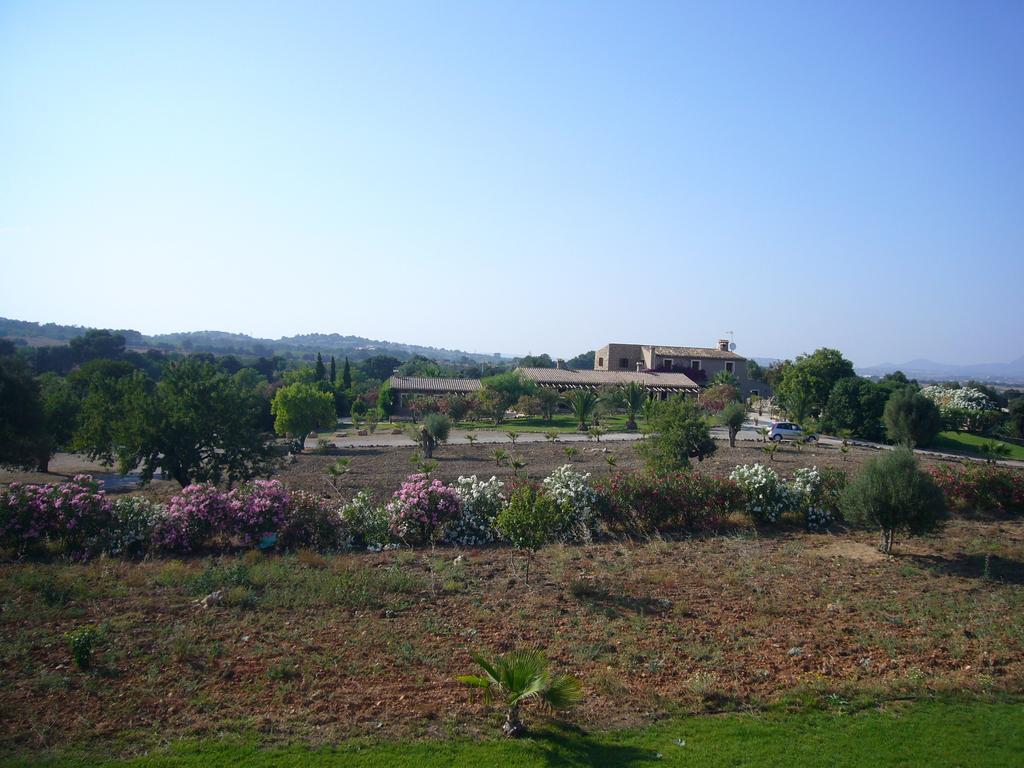 Agroturismo Can Patro Konuk evi Manacor  Dış mekan fotoğraf