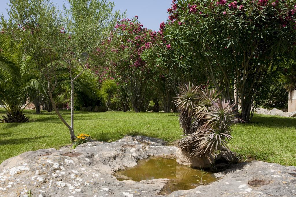 Agroturismo Can Patro Konuk evi Manacor  Dış mekan fotoğraf