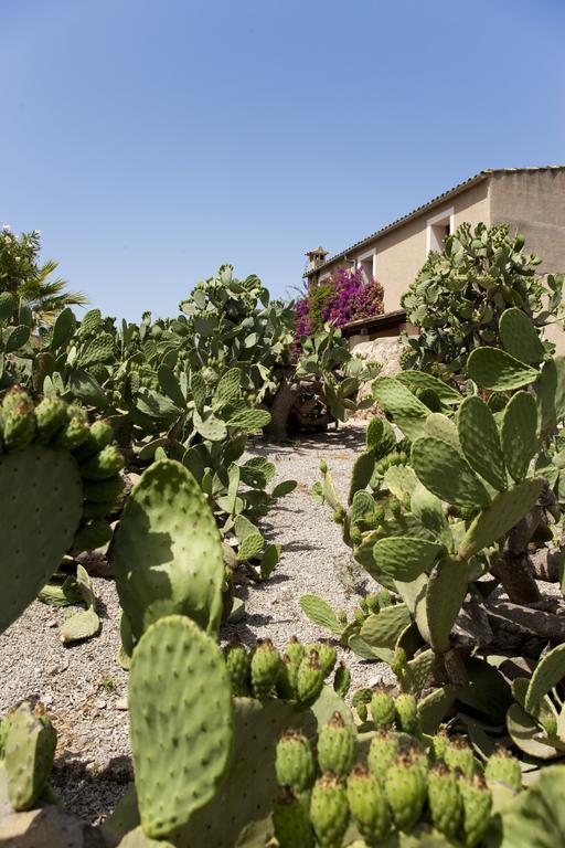 Agroturismo Can Patro Konuk evi Manacor  Dış mekan fotoğraf