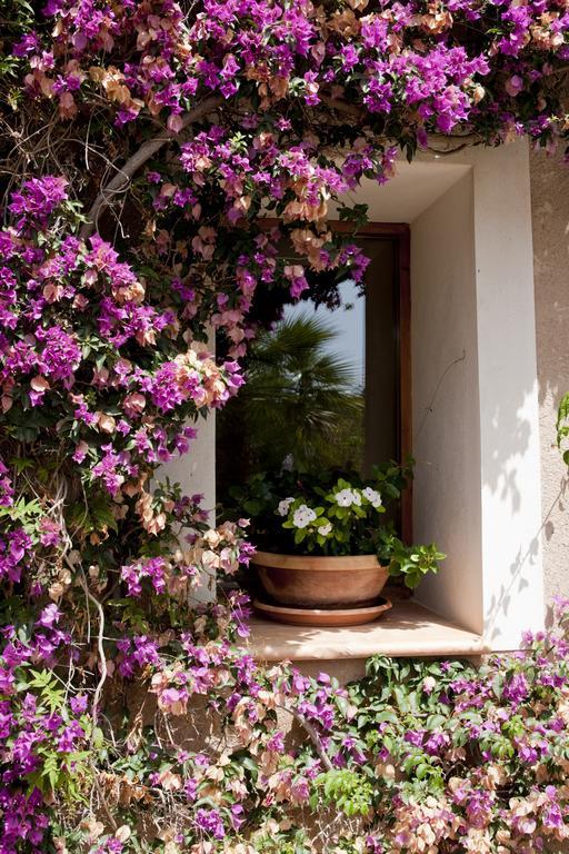 Agroturismo Can Patro Konuk evi Manacor  Dış mekan fotoğraf
