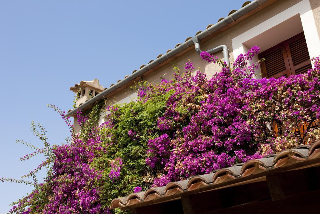 Agroturismo Can Patro Konuk evi Manacor  Dış mekan fotoğraf